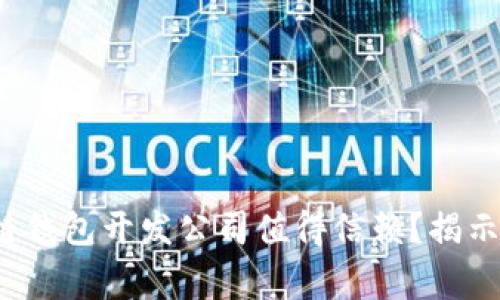 哪家区块链钱包开发公司值得信赖？揭示最佳选择！