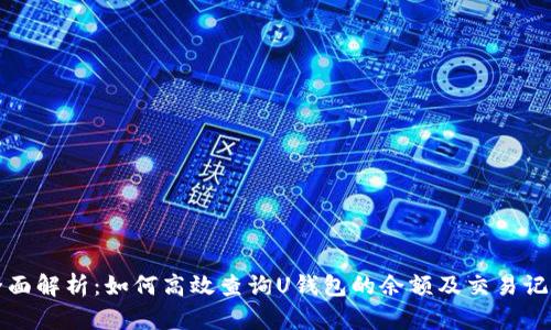 全面解析：如何高效查询U钱包的余额及交易记录