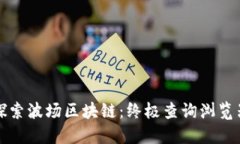 轻松探索波场区块链：终极查询浏览器指南