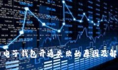 虚拟币电子钱包开通失败的原因及解决方案