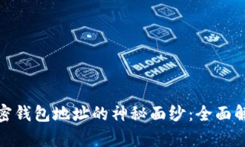: 揭开美国加密钱包地址的神秘面纱：全面解析与实用指南