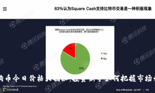 狗狗币今日价格大揭秘：投资新手如何把握市场行情