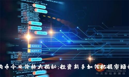 狗狗币今日价格大揭秘：投资新手如何把握市场行情