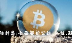 探索区块链的种类：全面解析公链、私链、联盟