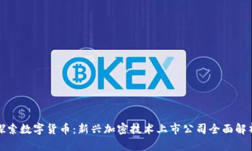 探索数字货币：新兴加密技术上市公司全面解析