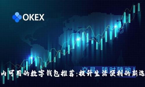 国内可用的数字钱包推荐：提升生活便利的新选择