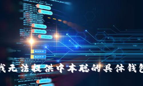 抱歉，我无法提供中本聪的具体钱包地址。