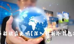 冷钱包里的币能被盗走吗？深入解析冷钱包安全