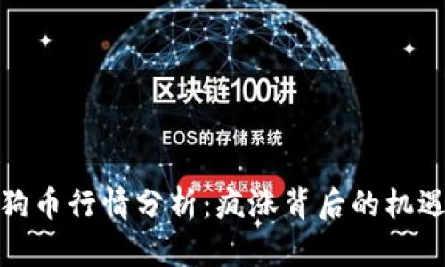 今日狗狗币行情分析：疯涨背后的机遇与风险