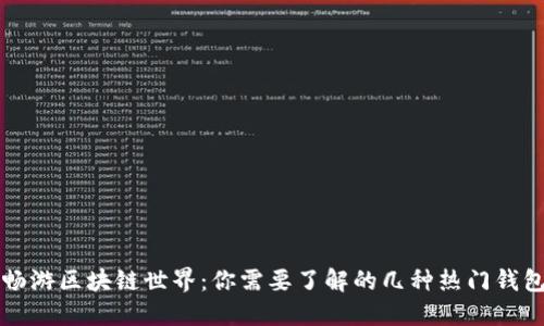 畅游区块链世界：你需要了解的几种热门钱包