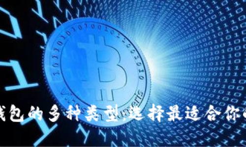 探索数字货币钱包的多种类型：选择最适合你的钱包解决方案