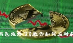 加密货币钱包跑路了？教你如何应对和弥补损失