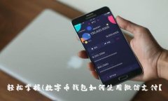 轻松掌握！数字币钱包如何使用微信支付？