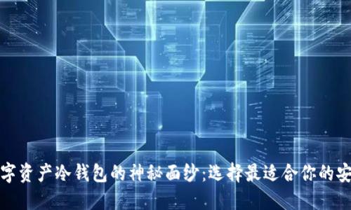 揭开数字资产冷钱包的神秘面纱：选择最适合你的安全方案