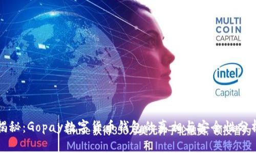 揭秘：Gopay数字货币钱包的真相与安全性分析