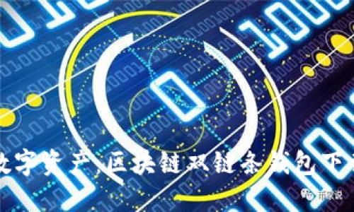 轻松掌控数字资产：区块链双链条钱包下载安装指南