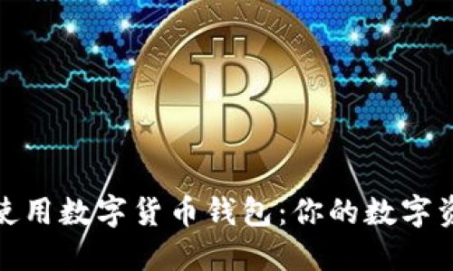 如何选择和使用数字货币钱包：你的数字资产安全之道
