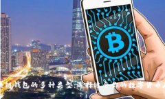 探索区块链钱包的多种类型：选择适合你的数字