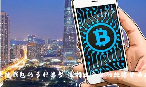 探索区块链钱包的多种类型：选择适合你的数字货币存储方式