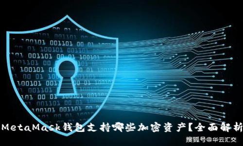 MetaMask钱包支持哪些加密资产？全面解析