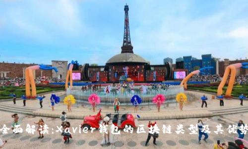 全面解读：Xavier钱包的区块链类型及其优势