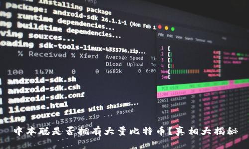 中本聪是否拥有大量比特币？真相大揭秘