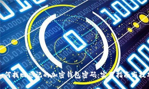 如何找回忘记的加密钱包密码：实用指南与技巧