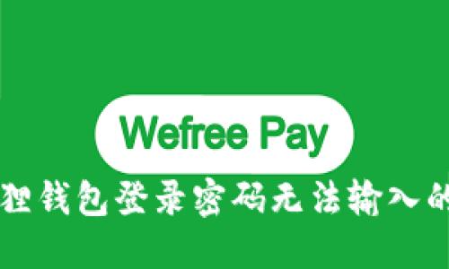 解决小狐狸钱包登录密码无法输入的全面指南