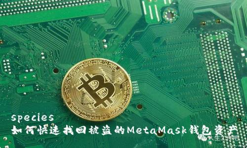 species  
如何快速找回被盗的MetaMask钱包资产