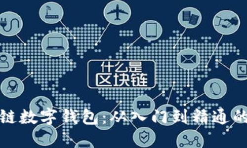 探索区块链数字钱包：从入门到精通的全面指南