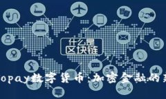 探索Topay数字货币：加密金融的新纪元
