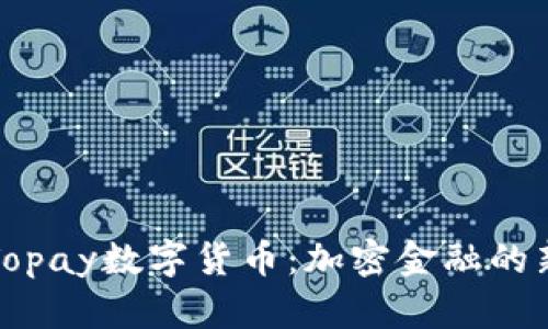 探索Topay数字货币：加密金融的新纪元