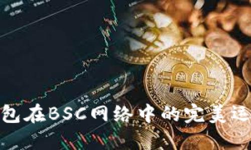 小狐狸钱包在BSC网络中的完美运用与优势
