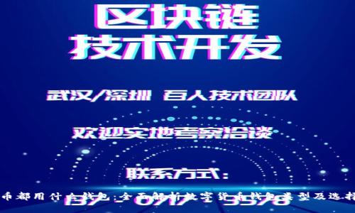 虚拟币都用什么钱包：全面解析数字货币钱包类型及选择指南