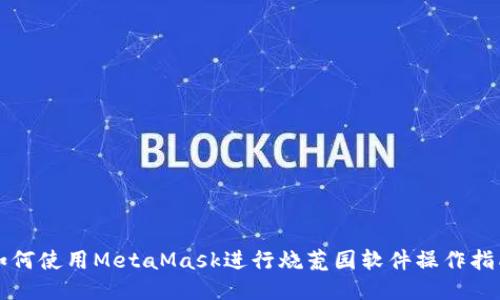 如何使用MetaMask进行烧荒园软件操作指南