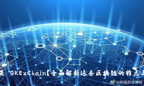 什么是 OKExChain？全面解析这条区块链的特点与应用