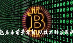 区块链钱包未来前景分析：从技术到应用的全面