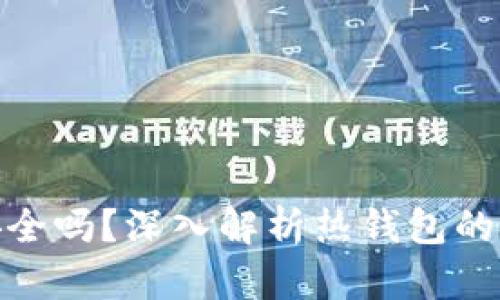 数字货币热钱包安全吗？深入解析热钱包的安全性及防护措施