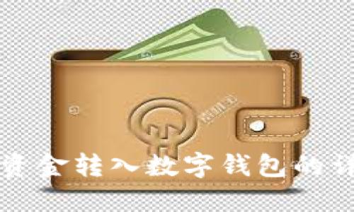 如何将资金转入数字钱包的详细指南