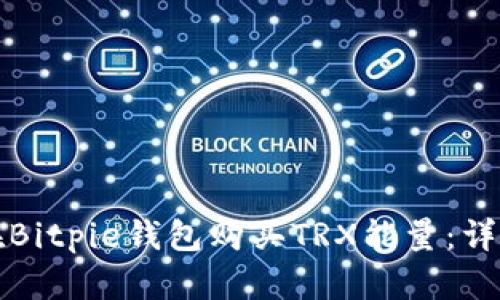 如何在Bitpie钱包购买TRX能量：详细指南