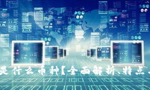 USDT是什么币种？全面解析、特点与应用