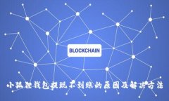 小狐狸钱包提现不到账的原因及解决方法