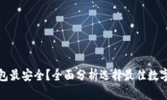 哪种数字钱包最安全？全面分析选择最佳数字钱