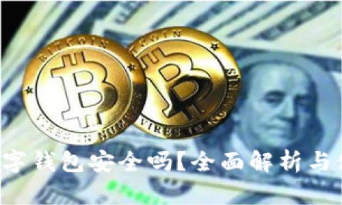 Topay数字钱包安全吗？全面解析与使用技巧