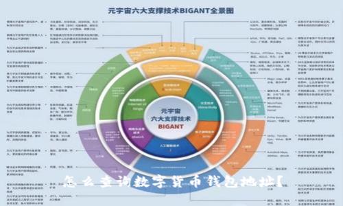 怎么查询数字货币钱包地址？