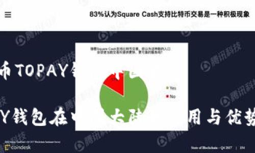 虚拟币TOPAY钱包中国大陆

TOPAY钱包在中国大陆的使用与优势分析