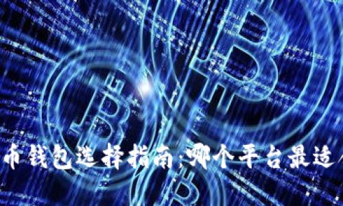 虚拟币钱包选择指南：哪个平台最适合你？