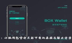 : 小狐钱包官方不能下载的原因及解决方案