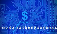 数字货币100元图片：全面了解数字货币的重要性